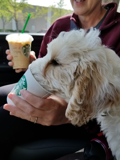 Starbucks image