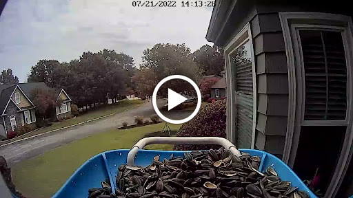 Golf Course «Pebble Creek Golf Course», reviews and photos, 101 Pebble Creek Dr, Taylors, SC 29687, USA