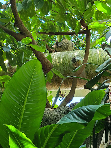 Zoo «Rainforest Pyramid», reviews and photos, 1 Hope Blvd, Galveston, TX 77554, USA