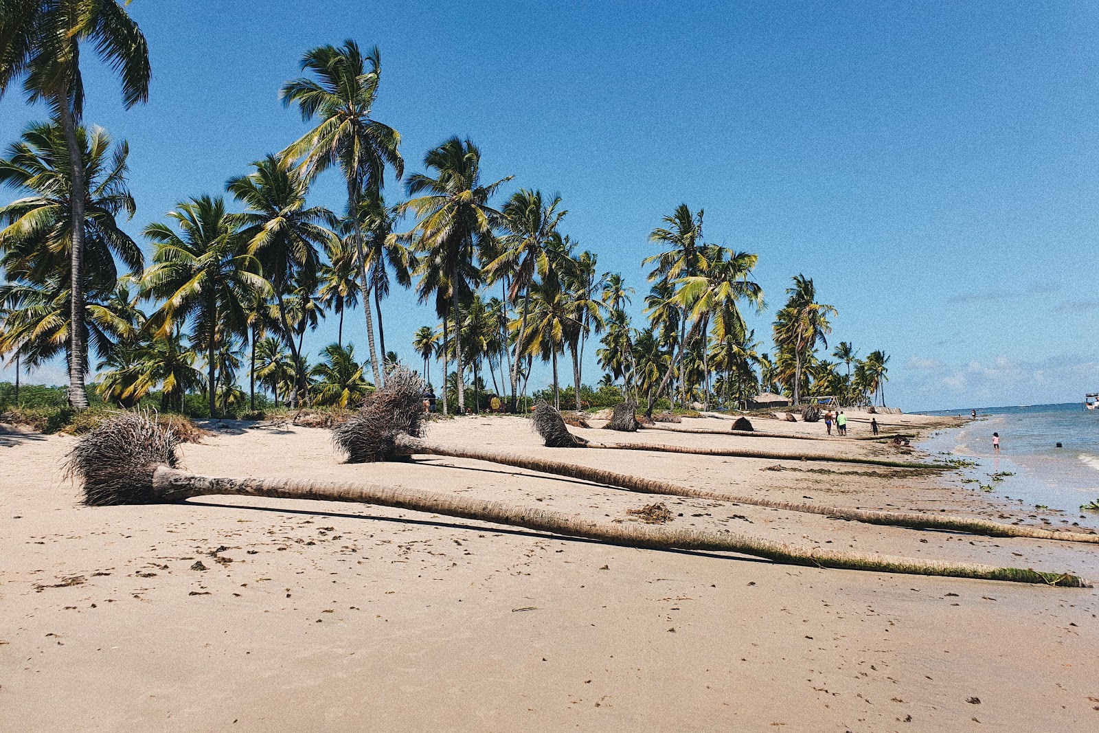 Photo de Praia do Gravata situé dans une zone naturelle