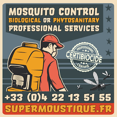 SuperMoustique à Villefranche-sur-Mer
