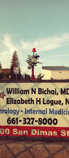 William N Bichai MD