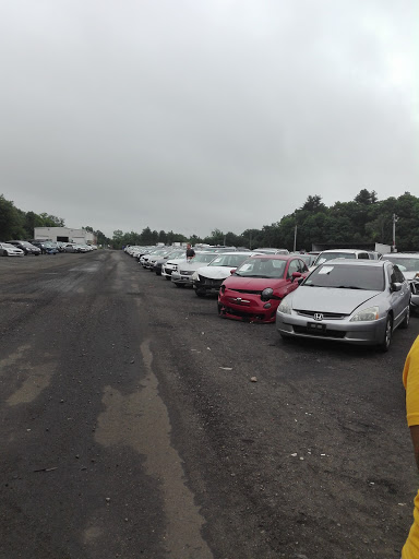 Auto Auction «Insurance Auto Auctions», reviews and photos