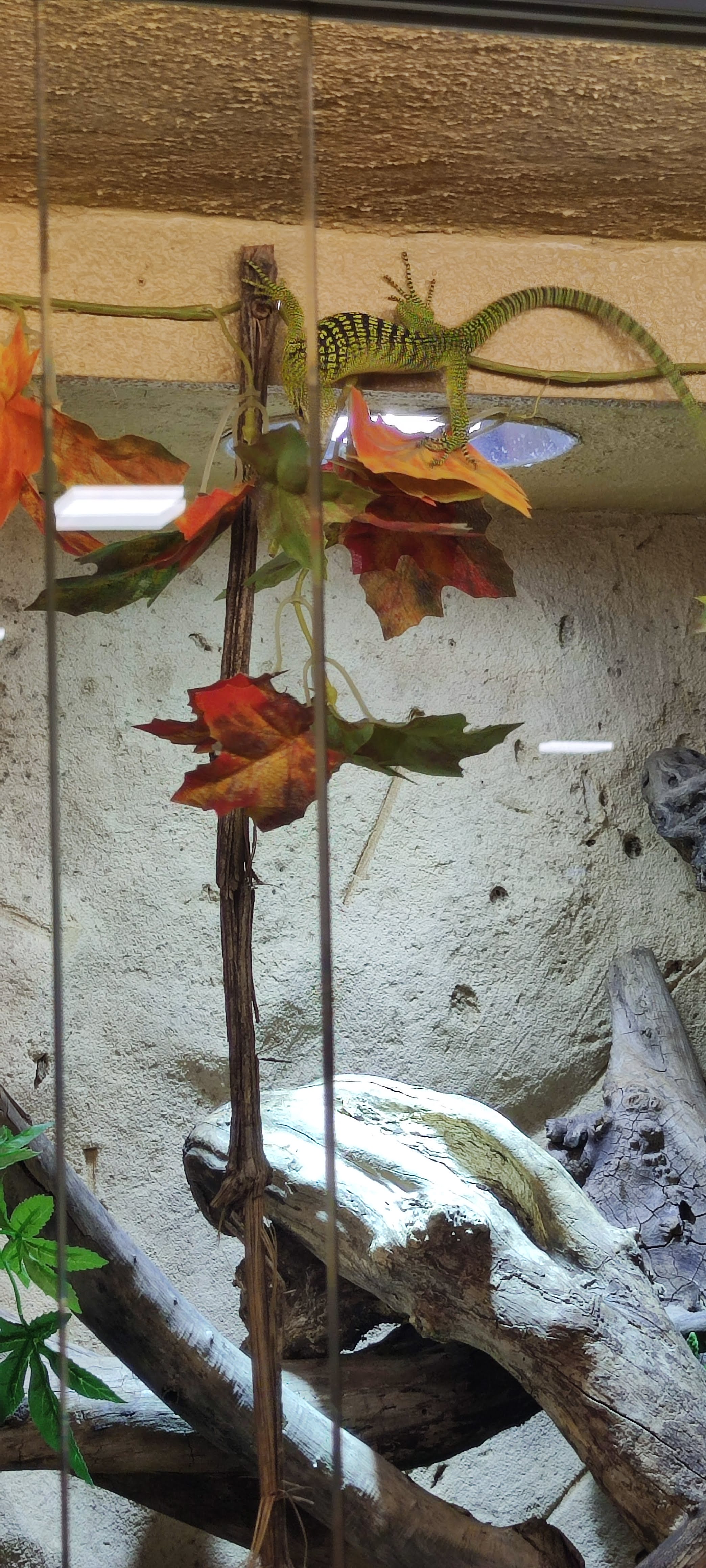 Photo n° 25 de l'avis de Yannick.o fait le 11/02/2023 à 16:29