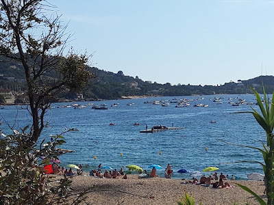 Nave Va Promenades en mer Porticcio à Grosseto-Prugna