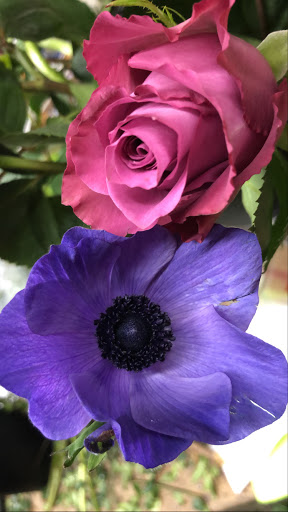 Florist «Bayview Florist», reviews and photos, 4736 Sunrise Hwy, Massapequa Park, NY 11762, USA