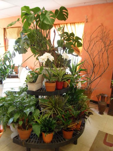 Florist «Hillside Florist (formerly Jennifer Flowers)», reviews and photos, 140 Hillside Avenue, New Hyde Park, NY 11040, USA