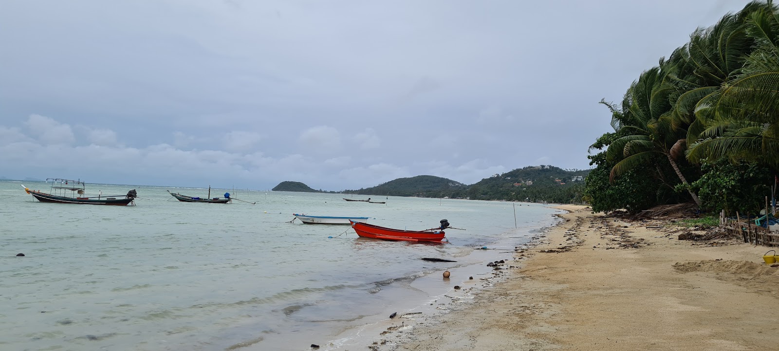 Foto di Bangmakham Sunset Beach con una superficie del sabbia luminosa