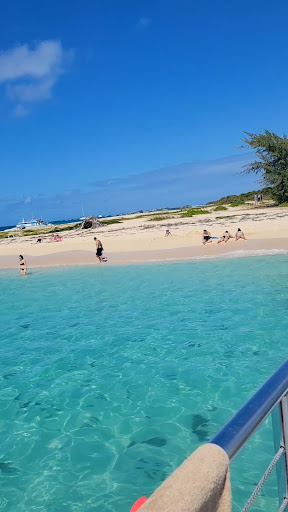 Drug Store «Walgreens», reviews and photos, 703 Newbridge Rd, North Bellmore, NY 11710, USA