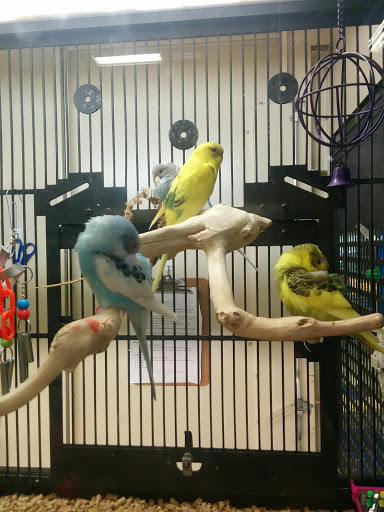 Pet Supply Store «PetSmart», reviews and photos, 467 Cross Keys Rd, Sicklerville, NJ 08081, USA