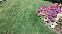 Winkel Lawn Care and Landscaping - Photo 4 - Car repair in Morton, IL, Peoria