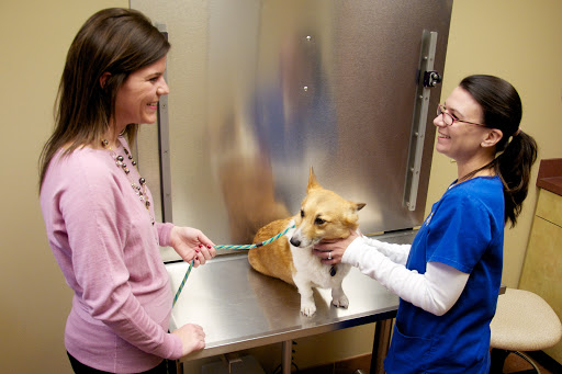 Grady Veterinary Hospital image
