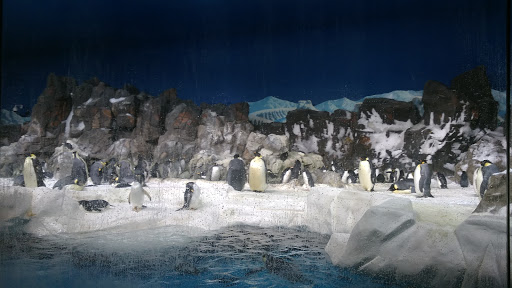 Used Car Dealer «CarMax Dealership», reviews and photos, 9501 Research Dr, Irvine, CA 92618, USA