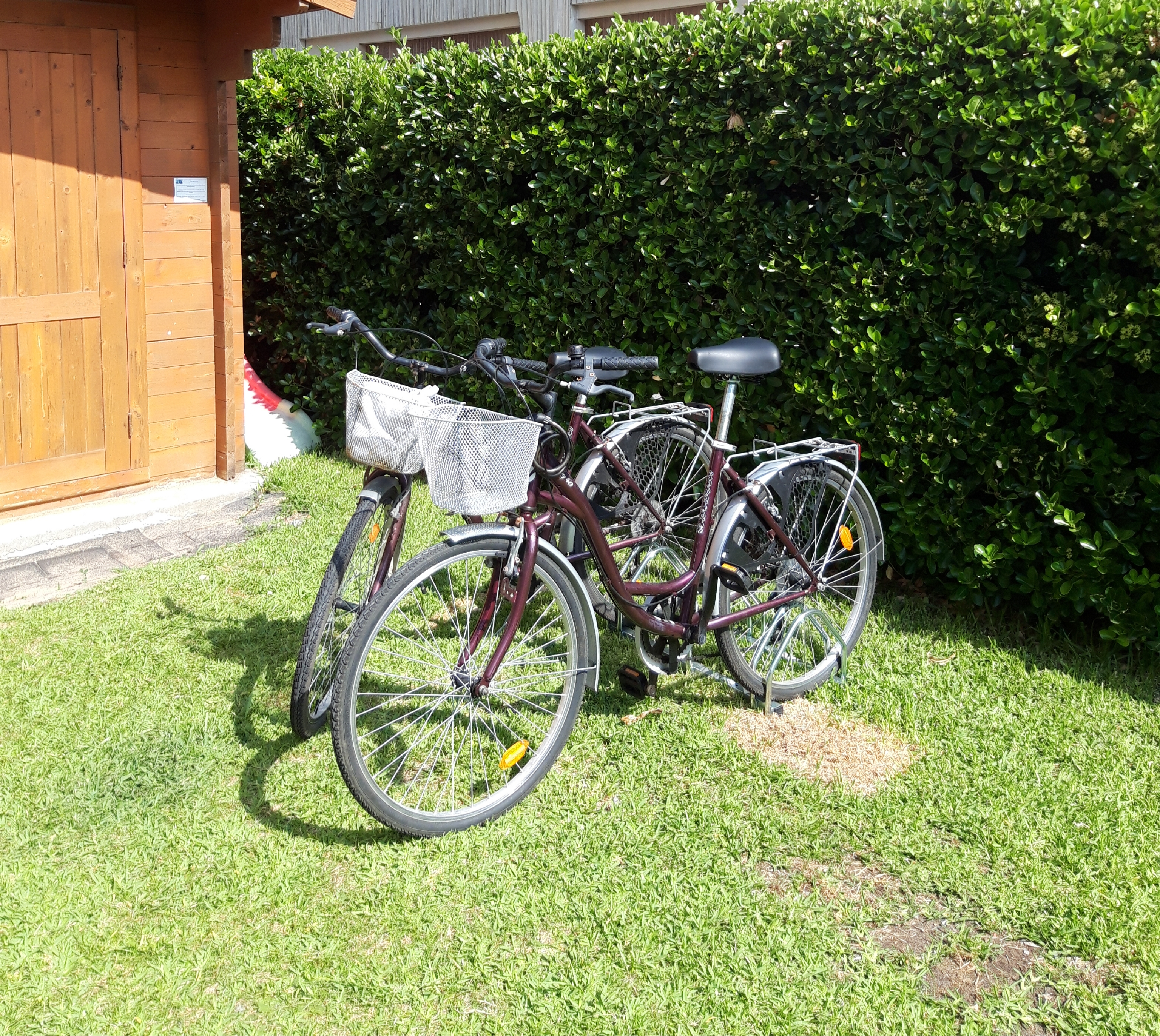 Photo n° 5 de l'avis de V..n fait le 20/07/2019 à 14:11
