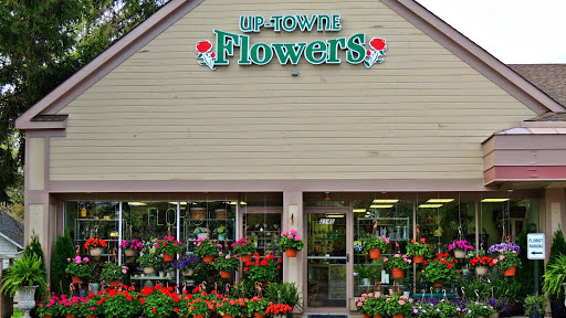 Florist «Up-Towne Flowers & Gift Shoppe», reviews and photos, 2145 W Dublin Granville Rd, Worthington, OH 43085, USA
