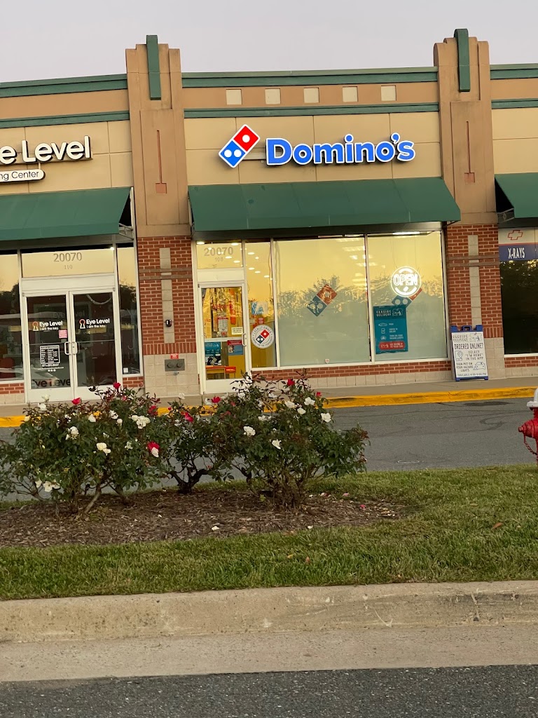 Domino's Pizza 20147