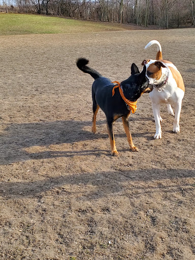 Nature Preserve «Schweitzer Woods Forest Preserve», reviews and photos, 16N690 Sleepy Hollow Rd, West Dundee, IL 60118, USA