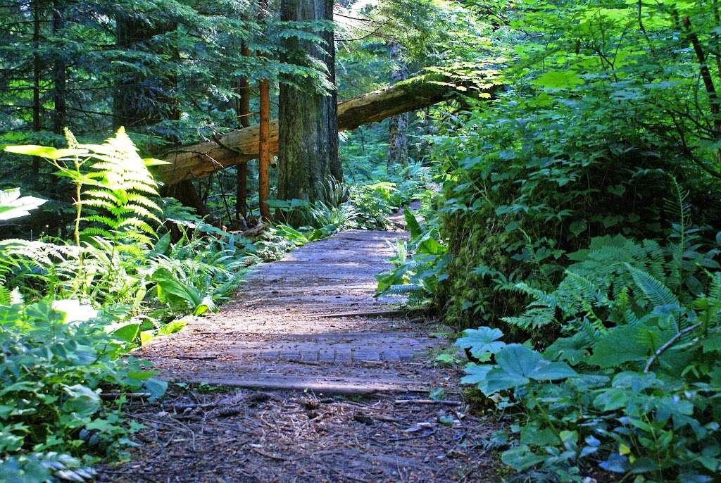 Issaquah Wellness Center 98027