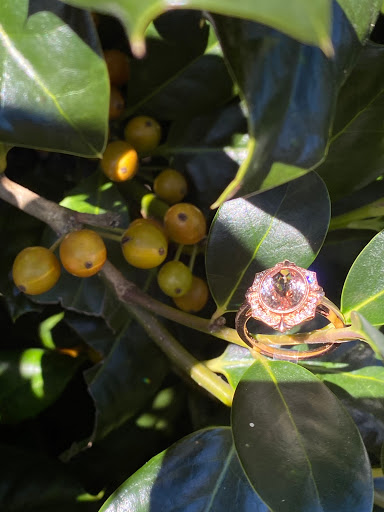 Jeweler «Dylan Rings Inc», reviews and photos, 119 Brown Springs Rd, Montgomery, AL 36117, USA