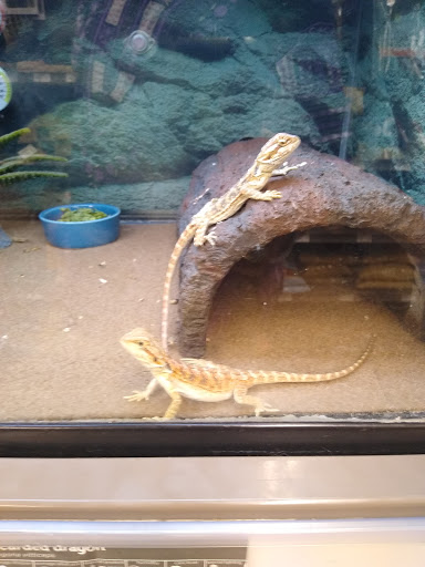 Pet Supply Store «Petco Animal Supplies», reviews and photos, 86 Storrs Rd, Mansfield Center, CT 06250, USA