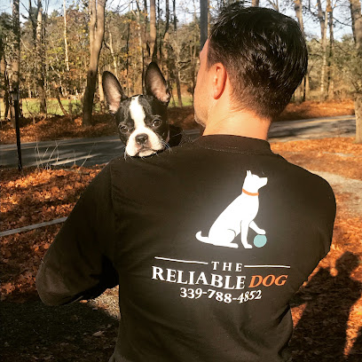 The Reliable Dog