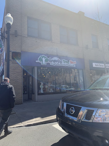 Gift Shop «Growing Tree Toys», reviews and photos, 202 S Allen St, State College, PA 16801, USA