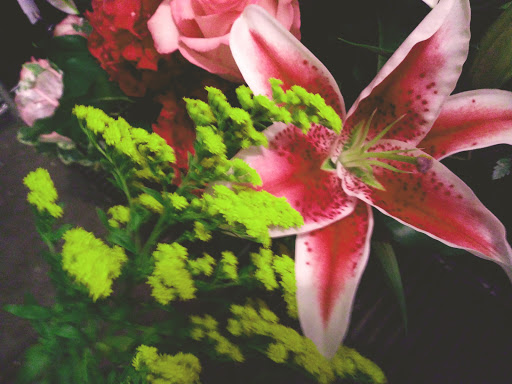 Florist «Tiger Lily Florist», reviews and photos, 2115 Festival Plaza Dr #170, Las Vegas, NV 89135, USA