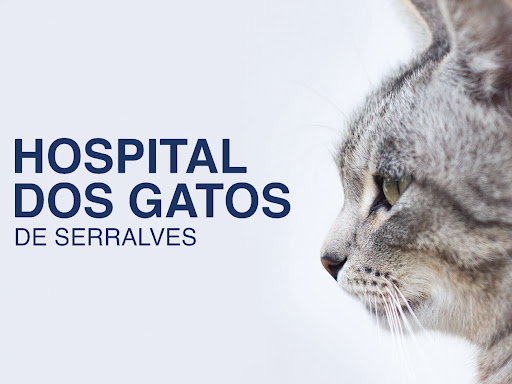 Hospital dos Gatos de Serralves