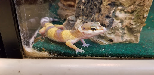 Pet Supply Store «PetSmart», reviews and photos, 1515 US-22, Watchung, NJ 07069, USA