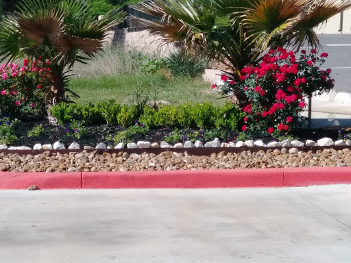 Self-Storage Facility «Morningstar Storage», reviews and photos, 6826 Alamo Pkwy, San Antonio, TX 78253, USA