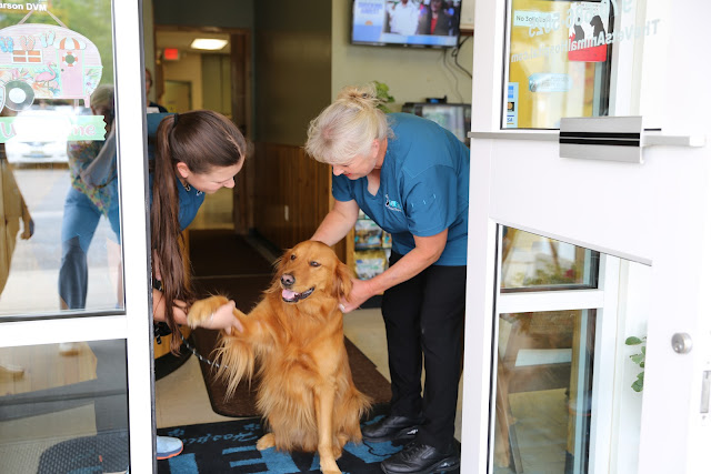 The Vets Animal Hospital