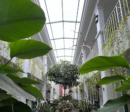 Rumah Jawa Guest House photo