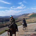 Photo n°8 de l'avis de Alessandra.e fait le 05/02/2020 à 03:06 sur le  Fattoria Cerreto à Mosciano Sant'Angelo