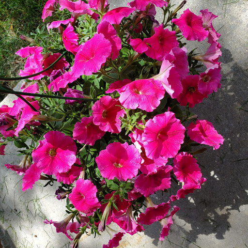 Home Improvement Store «The Home Depot», reviews and photos, 20777 Hall Rd, Macomb, MI 48044, USA