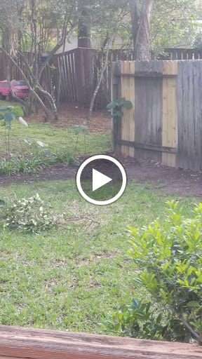 Park «Terramont Park», reviews and photos, 8500 Terramont Dr, The Woodlands, TX 77382, USA