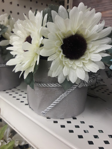 Craft Store «Michaels», reviews and photos, 3759 William Penn Hwy, Monroeville, PA 15146, USA