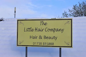 The Little Hair Company image