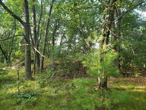 Park «Dorchester Park», reviews and photos, 2180 Dorchester Ave, Dorchester, MA 02124, USA