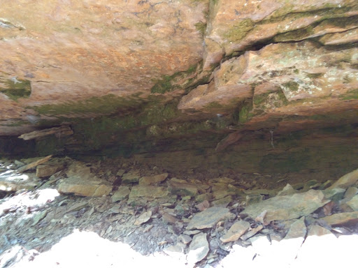 Park «Buffalo Trace Park», reviews and photos, 1540 US-150, Palmyra, IN 47164, USA