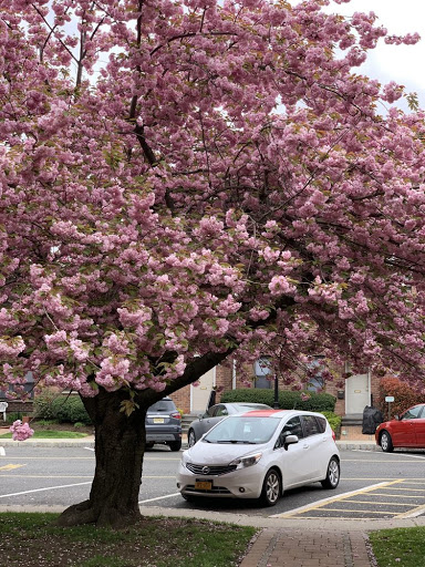 Moving and Storage Service «FlatRate Moving», reviews and photos, 3656 Enterprise Ave, Hayward, CA 94545, USA