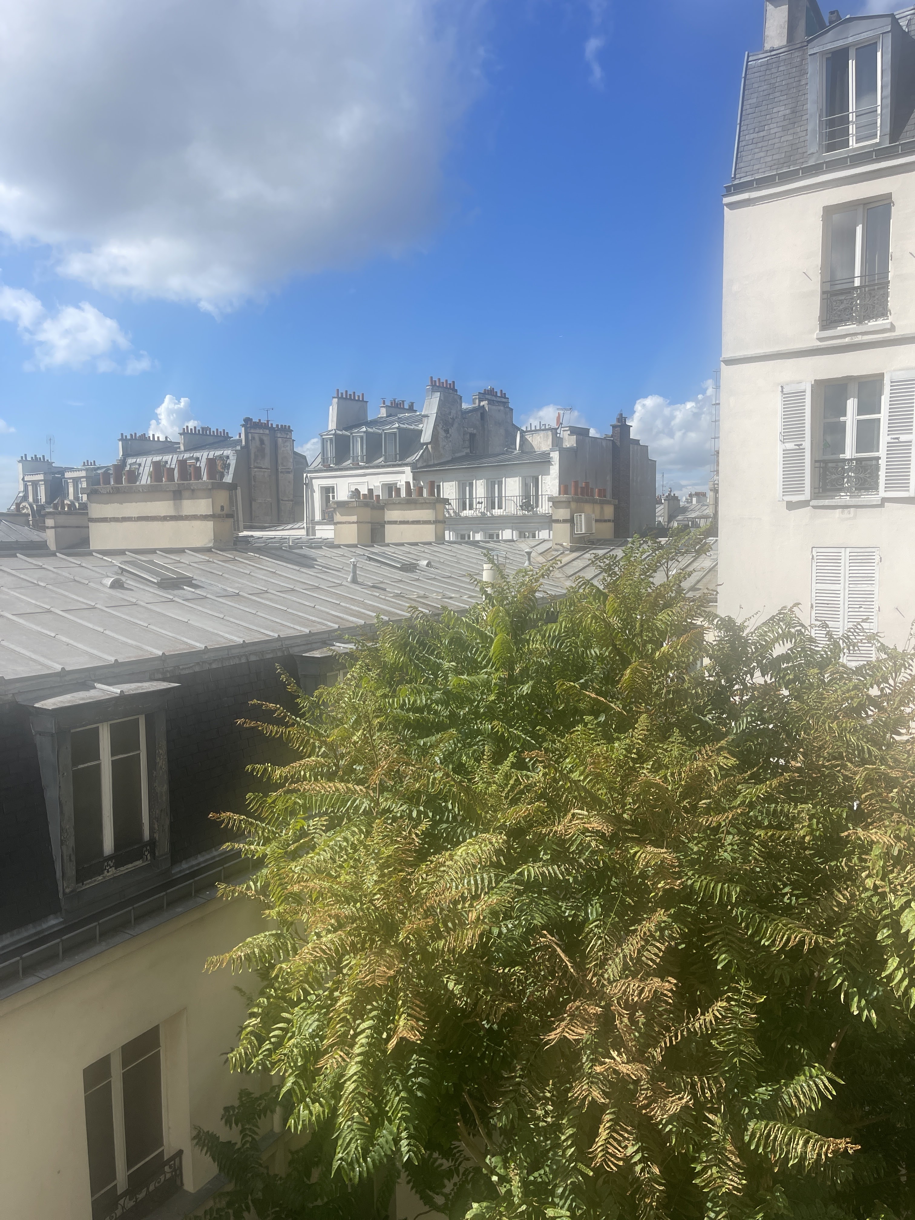 Photo n° 1 de l'avis de Jade.e fait le 18/09/2023 à 11:20