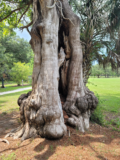 Museum «Coastal Discovery Museum», reviews and photos, 70 Honey Horn Dr, Hilton Head Island, SC 29926, USA