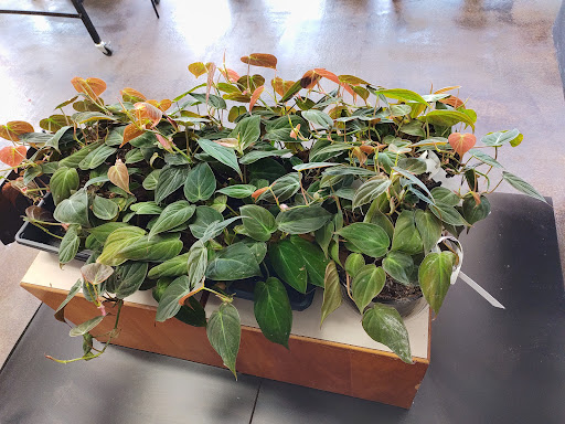 Gift Shop «Blue Hills Nursery & Gift Shop», reviews and photos, 16440 Whittier Blvd, Whittier, CA 90603, USA