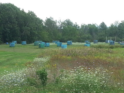 cooper cave paintball field