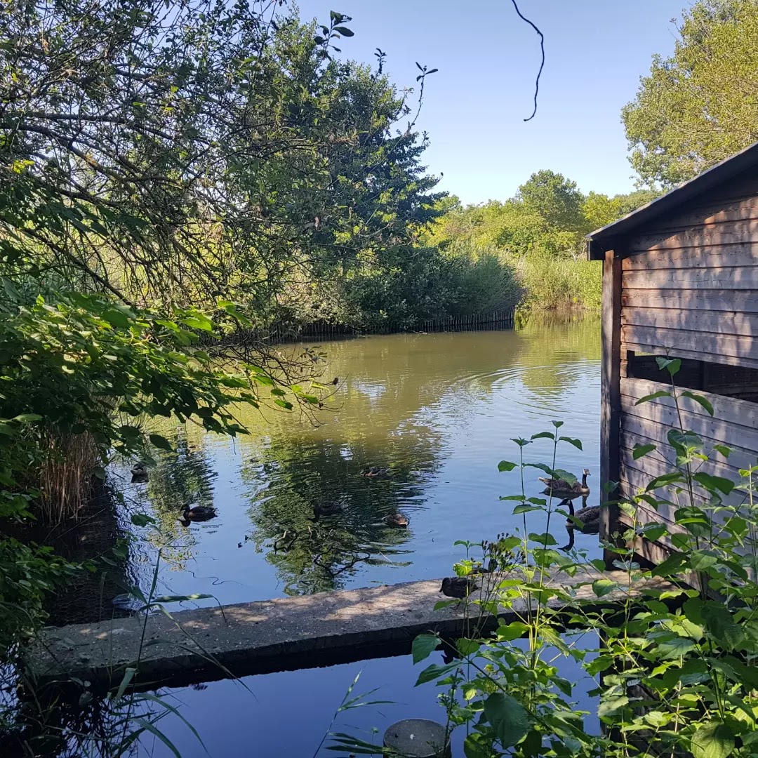Photo n° 8 de l'avis de MATHIOT.Y fait le 29/07/2022 à 16:06