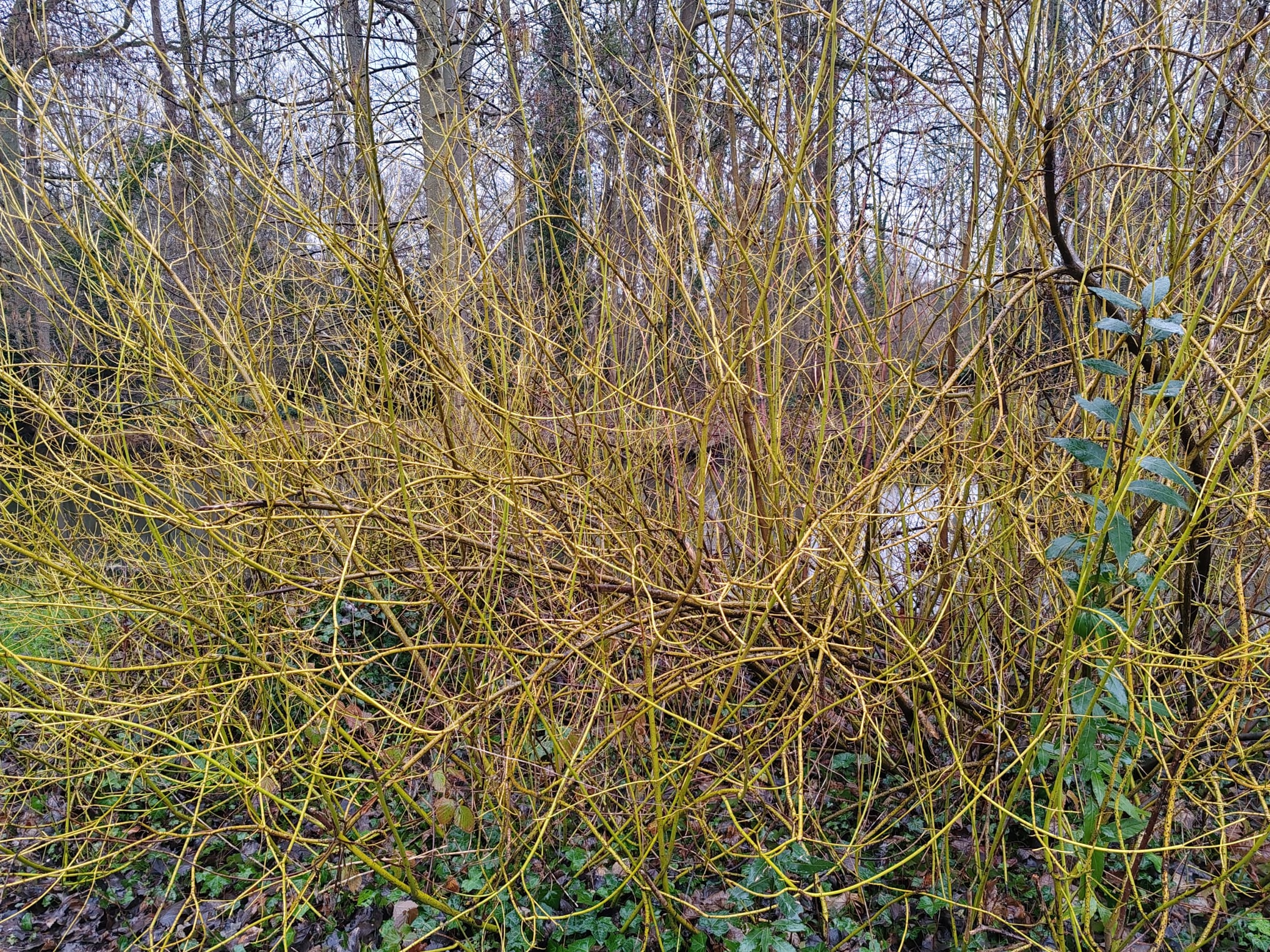 Photo n° 12 de l'avis de Thierry.a fait le 14/02/2024 à 19:38
