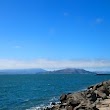 San Francisco Bay's Treasure Island Harbor