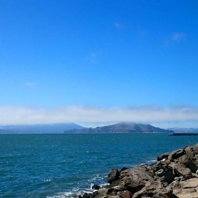 San Francisco Bay's Treasure Island Harbor