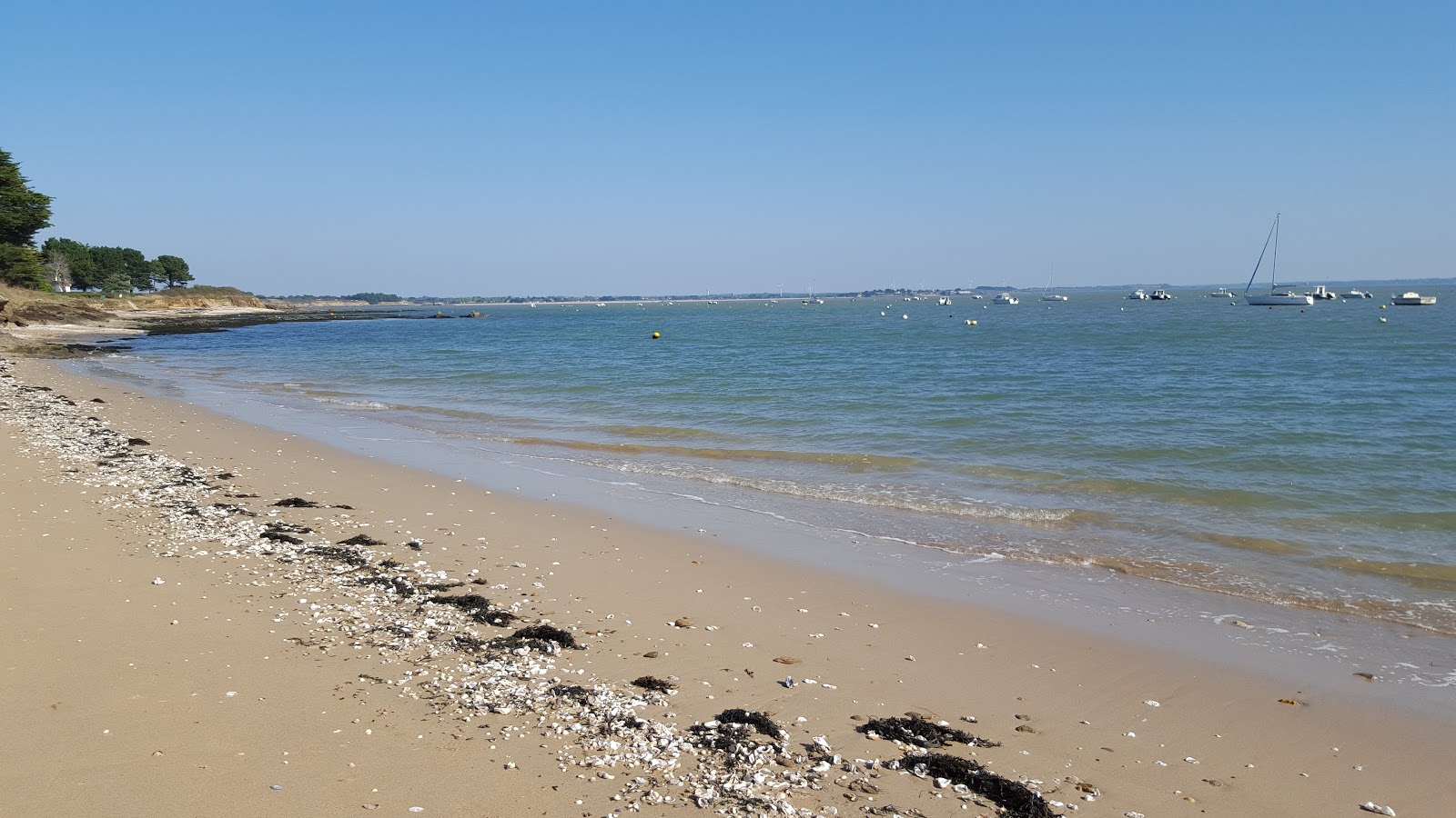 Photo de Petite Plage De Kervoyal avec un niveau de propreté de très propre