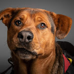 Photo n°7 de l'avis de Mara.o fait le 14/09/2023 à 18:17 sur le  Ora del Gusto à Piacenza